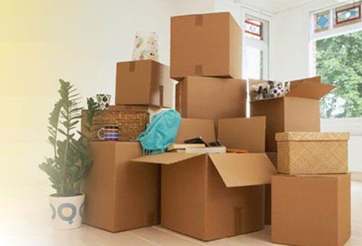 domestic-relocation-services